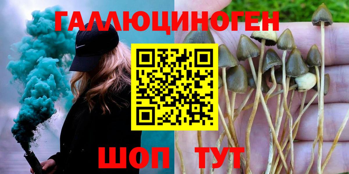 Псилоцибиновые грибы Cubensis Клинцы