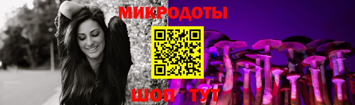 Псилоцибиновые грибы Psilocybe  Псилоцибиновые грибы GOLDEN TEACHER  Клинцы  Вход с VPN 